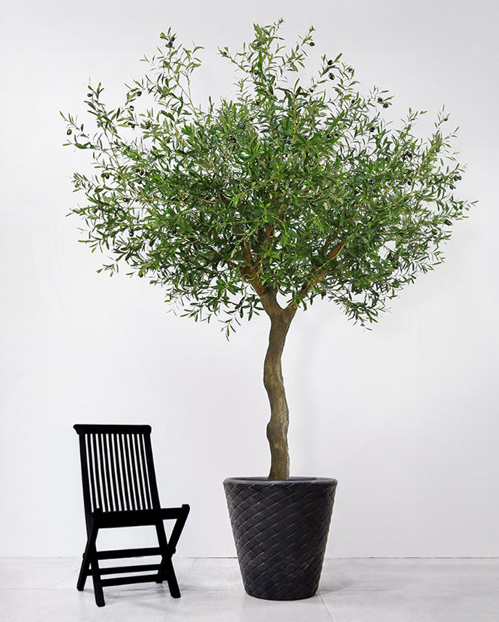 Large silk trees discount