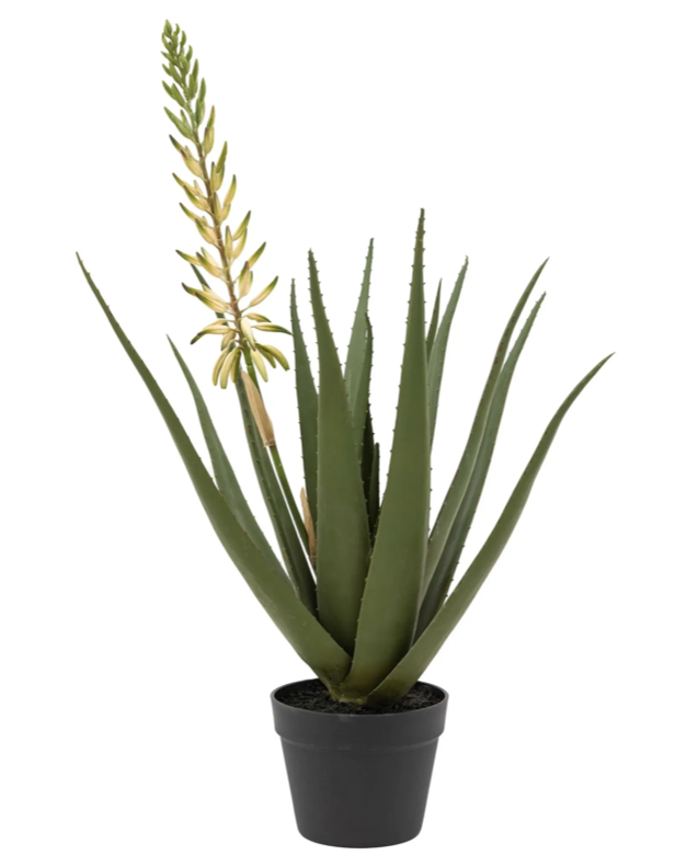 large artificial aloe vera plant Aloe with White Flower Large Artificial Plant 81cm – Artificial Green