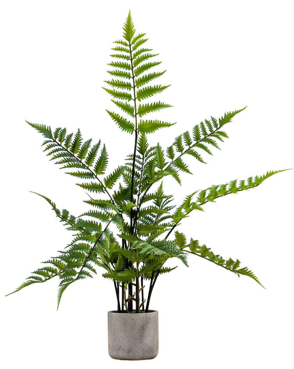 Artificial Forest Fern Plant in Natural Pot 71cm Artificial Green