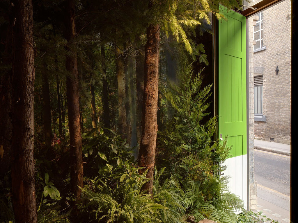 Pantone Colour Of The Year 2017 'Greenery' Inspired Airbnb House
