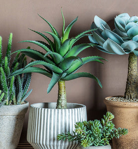 Are Artificial Plants Tacky? Let us Convince you Otherwise.