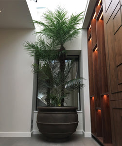 Artificial Tropical Palm Tree Installation