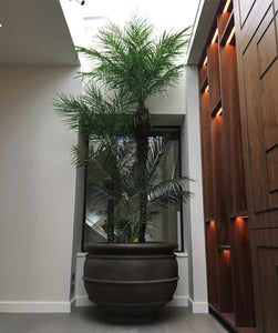 Artificial Tropical Palm Tree Installation