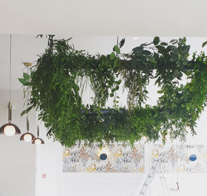 Ceiling Feature with Faux Trailing Plants