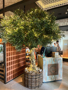 The Beauty and Practicality of Artificial Trees: Stylish Solutions for Any Space
