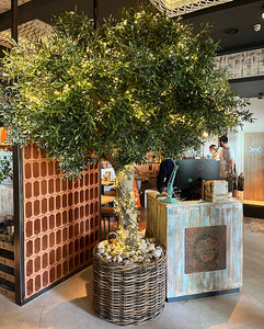 The Beauty and Practicality of Artificial Trees: Stylish Solutions for Any Space