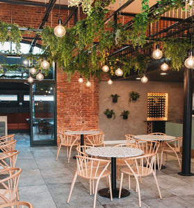 Artificial Ceiling Plants for a Preston Restaurant