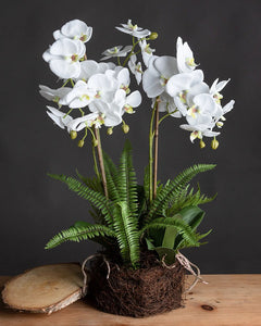 Luxury Artificial Orchids 