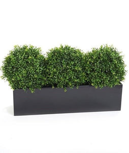 Trough Planters and Window Boxes