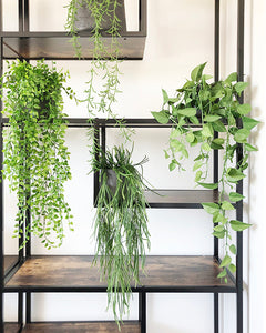 Artificial Hanging Trailing Plants