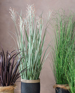 Artificial Grasses