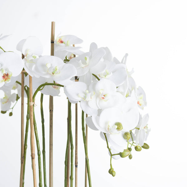 Large Luxury Artificial White Orchid in Glass Bowl 88cm