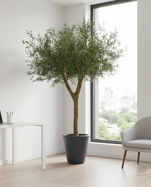3m Large Artificial Olive Tree UK