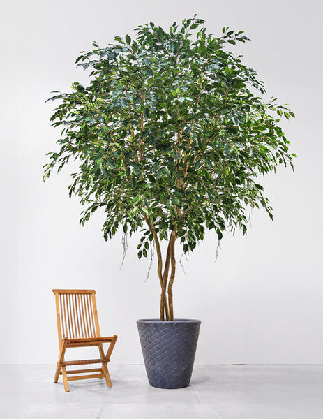 Large Artificial Tree Ficus Exotica 4m Tall Fire Retardant