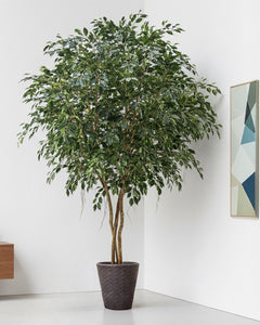 Ficus Exotica Large Artificial Tree 4m Tall Fire Retardant – Artificial  Green