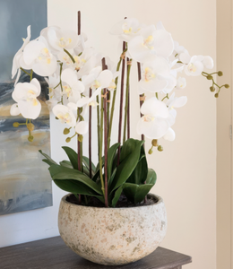 Fake orchids hotsell