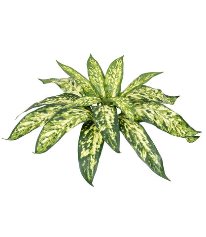 Fire retardant artificial Aglaonema Plants