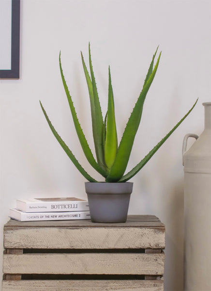 Aloe Vera Artifical Plants in Pots