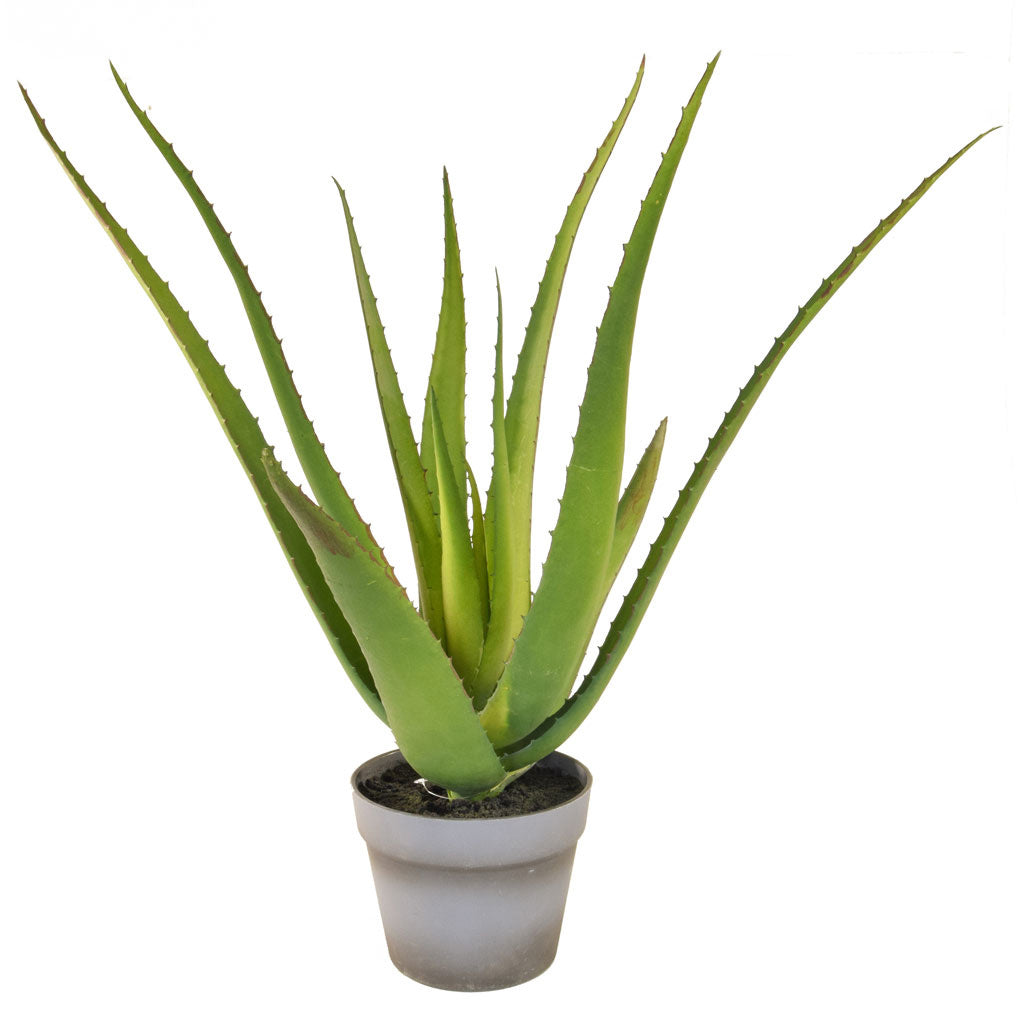 Faux Aloe Vera Plant by Artificial Green