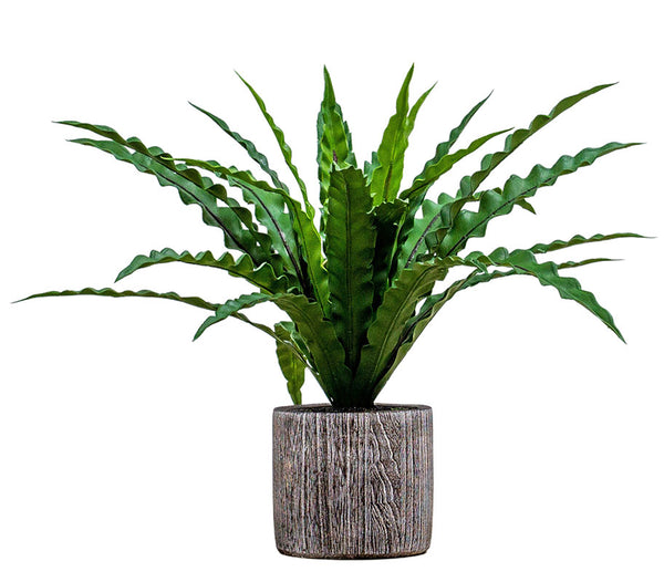 Artificial Asplenium Fern Plant in Pot