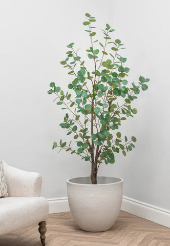 Artificial Eucalyptus Tree 180cm