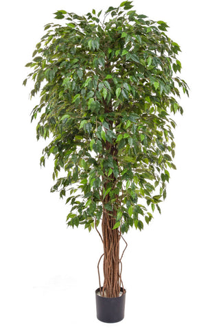Artificial Green Ficus Tree 180cm