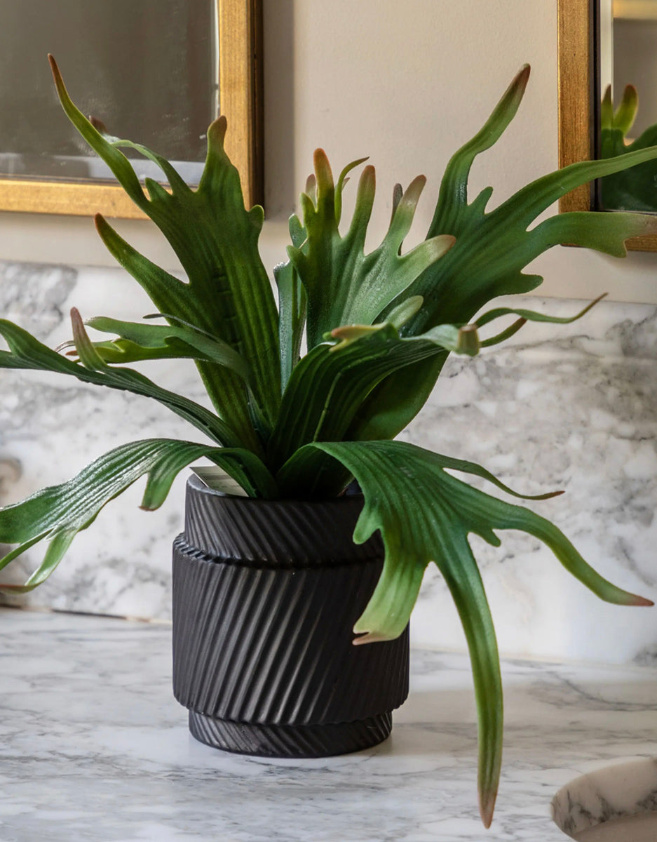 Artificial Plant Common Staghorn in Pot