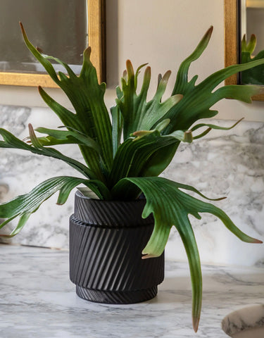 Artificial Plant Common Staghorn in Pot