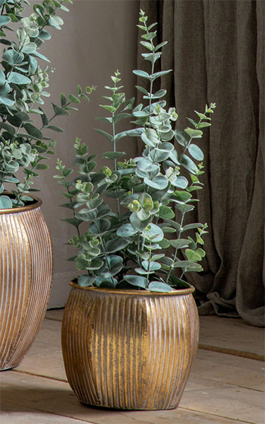 Small Eucalyptus Artificial Plant in Grey Pot 68cm