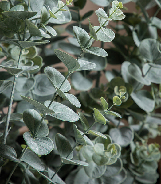 Small Eucalyptus Artificial Plant in Grey Pot 68cm