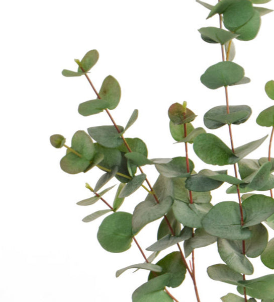 Deluxe Large Artificial Eucalyptus Stem 100cm