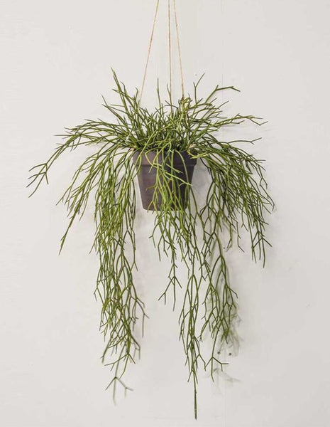 Artificial Hanging Plants in Pot 