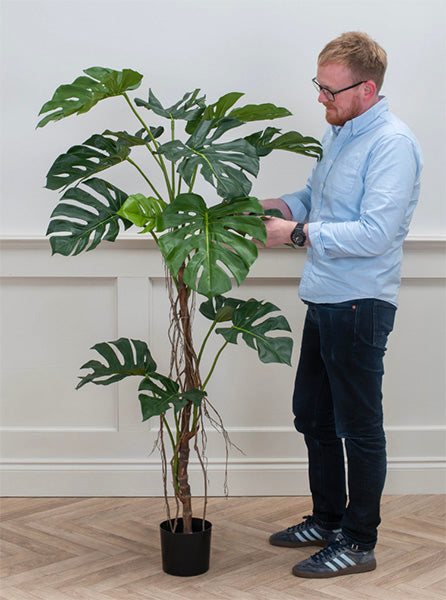 Artificial House Plants  Large Monstera Fire Retardant