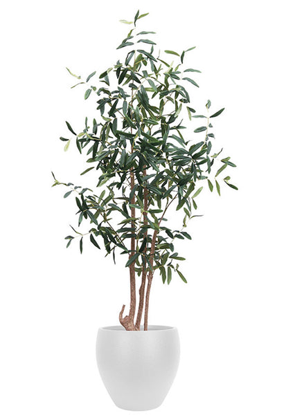 Long Leaf Artificial Olive Tree in Pot or Basket Planter