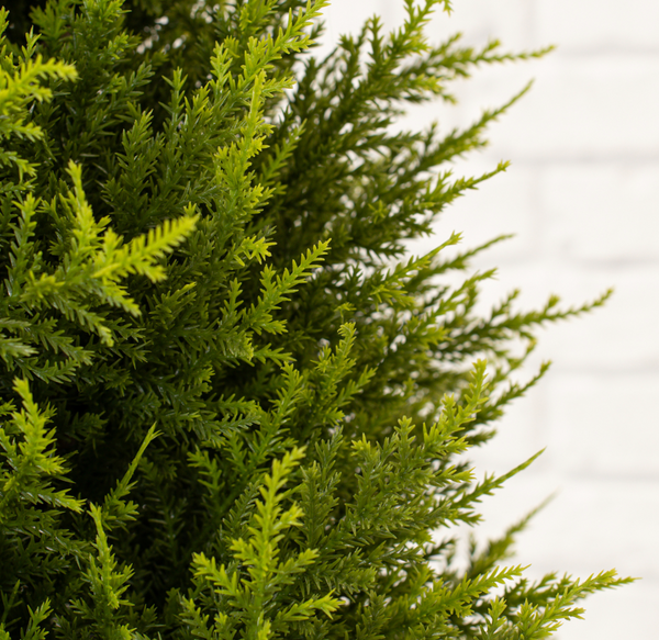 Artificial Outdoor Plants Cypress Topiary Tree