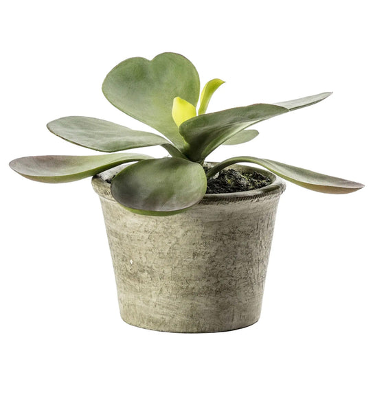 Kalanchoe Artificial Succulent Plant in Pot