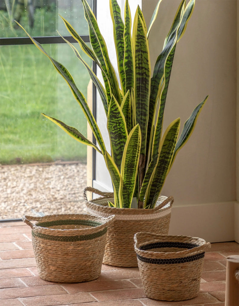 buy large snake plant uk Sansevieria Large Artificial Plant 120cm – Artificial Green