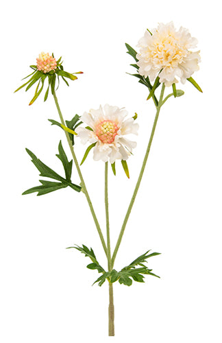 White Scabiosa Artificial Flowers Pack of 4