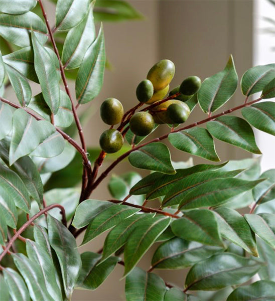 Chinese Olive Artificial Tree 150cm