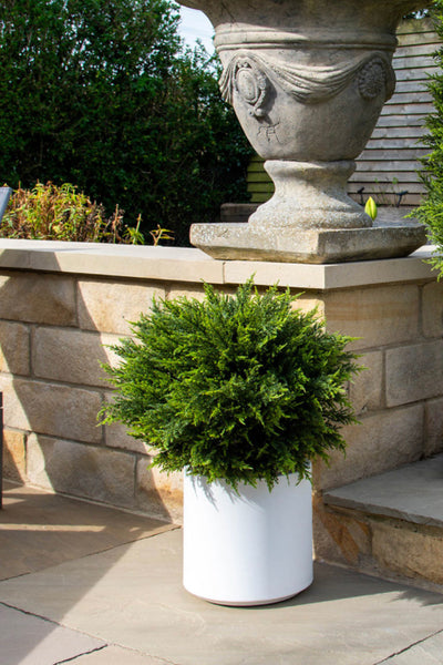 Cypress Artificial Topiary Balls in a Choice of Pots - Set of 2