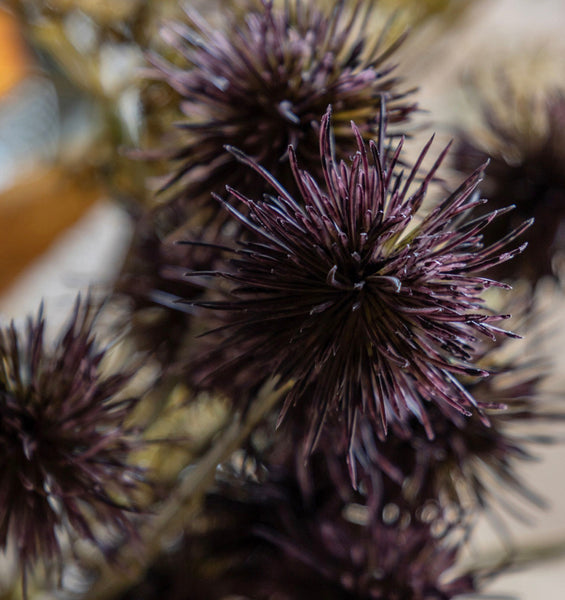 Autumn Flower Arrangement