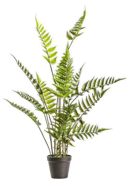 Large artificial bracken fern plant 91cm from Artificial Green