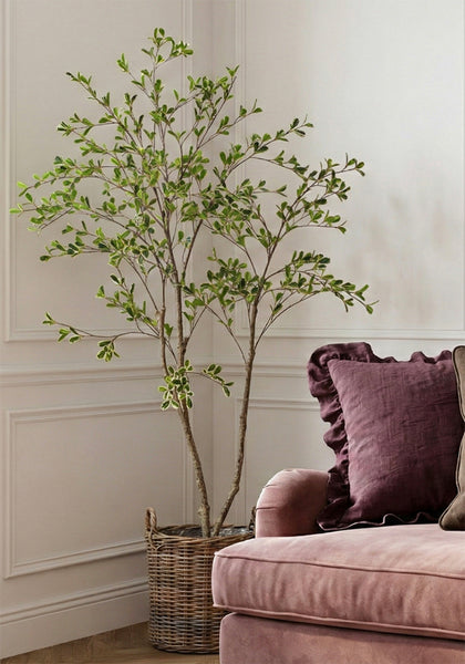 Bucida artificial tree from our artificial indoor green plants range