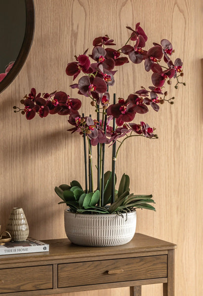 Burgundy Real Touch Artificial Orchid in Pot
