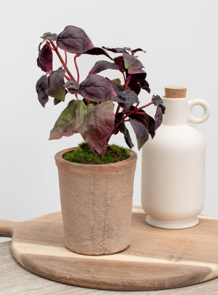 Burgundy Artificial Basil in Pot