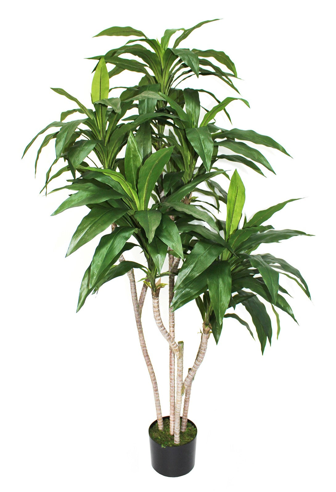 Realistic Artificial Dracaena Fragrans Plant 150cm 