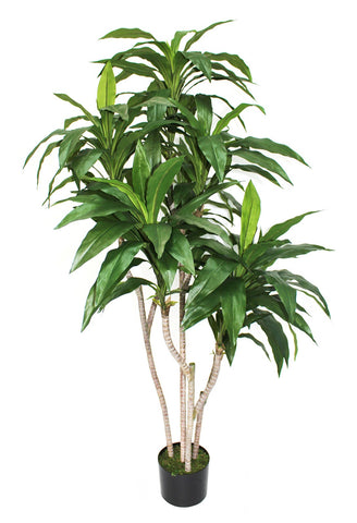 Realistic Artificial Dracaena Fragrans Plant 150cm 