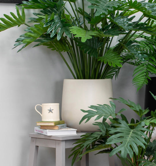 Cream modern plant pot