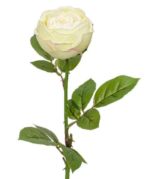 Cream rose Faux Flowers