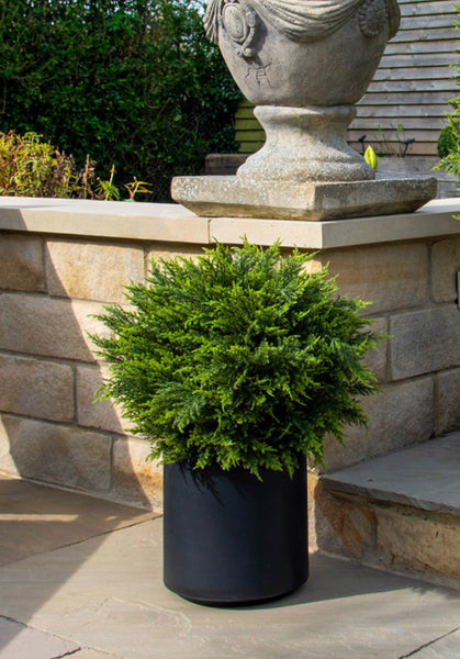 Cypress Artificial Topiary Balls in a Choice of Pots - Set of 2